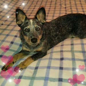 Meet your Posher, Jill